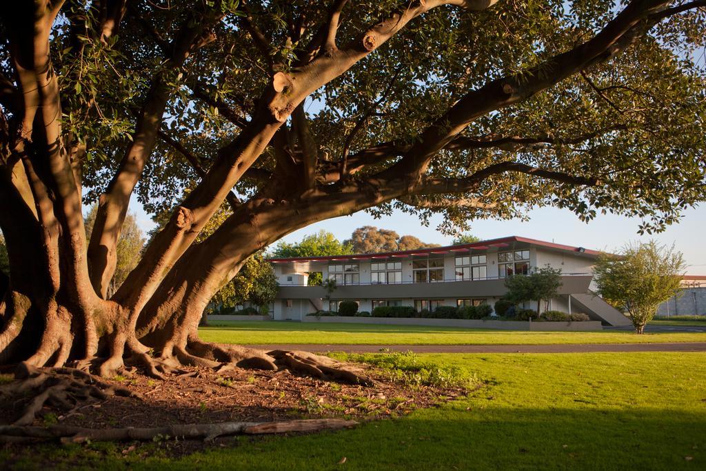 Kennedy Park Resort Napier Exterior foto
